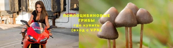 марки lsd Балахна