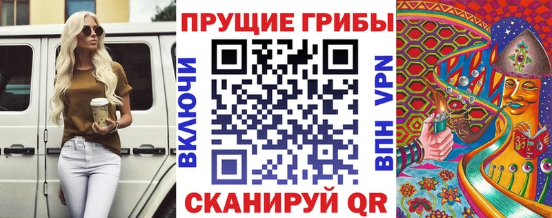 закладка  Бахчисарай  Псилоцибиновые грибы Cubensis 